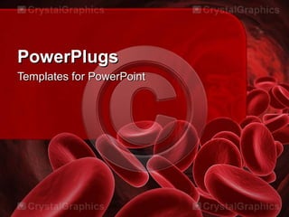 PowerPlugsPowerPlugs
Templates for PowerPointTemplates for PowerPoint
 