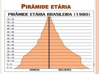 PIRÂMIDE ETÁRIA
 