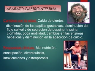 APARATO GASTROINTESTINAL 
Cambios con la edad: Caída de dientes, 
disminución de las papilas gustativas, disminución del 
flujo salival y de secreción de pepsina, tripsina, 
clorhidria, poca motilidad, cambios en las enzimas 
hepáticas y disminución en la absorción de calcio. 
Respuestas clínicas: Mal nutrición, 
constipación, diverticulosis, 
intoxicaciones y osteoporosis 
 