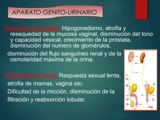 APARATO GENITO-URINARIO 
Cambios con la edad: Hipogonadismo, atrofia y 
resequedad de la mucosa vaginal, disminución del tono 
y capacidad vesical, crecimiento de la próstata, 
disminución del numero de glomérulos, 
disminución del flujo sanguíneo renal y de la 
osmolaridad máxima de la orina. 
Respuestas clínicas: Respuesta sexual lenta, 
atrofia de mamas, vagina etc. 
Dificultad de la micción, disminución de la 
filtración y reabsorción lobular. 
 