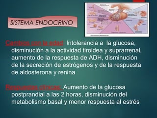 SISTEMA ENDOCRINO 
Cambios con la edad: Intolerancia a la glucosa, 
disminución a la actividad tiroidea y suprarrenal, 
aumento de la respuesta de ADH, disminución 
de la secreción de estrógenos y de la respuesta 
de aldosterona y renina 
Respuestas clínicas: Aumento de la glucosa 
postprandial a las 2 horas, disminución del 
metabolismo basal y menor respuesta al estrés 
 