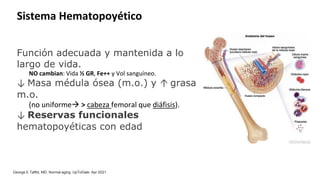 Fe Proceso del envejecimiento GERIATRIA 3.pdf