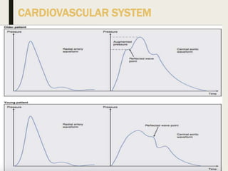 CARDIOVASCULAR SYSTEM
 