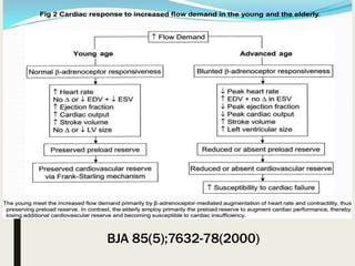 CARDIOVASCULAR SYSTEM
BJA 85(5);7632-78(2000)
 