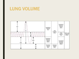 LUNG VOLUME
 
