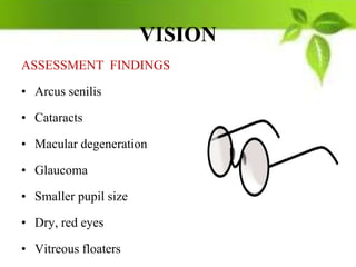 VISION
ASSESSMENT FINDINGS
• Arcus senilis
• Cataracts
• Macular degeneration
• Glaucoma
• Smaller pupil size
• Dry, red eyes
• Vitreous floaters
 