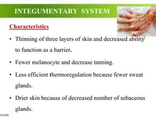 INTEGUMENTARY SYSTEM
Characteristics
• Thinning of three layers of skin and decreased ability
to function as a barrier.
• Fewer melanocyte and decrease tanning.
• Less efficient thermoregulation because fewer sweat
glands.
• Drier skin because of decreased number of sebaceous
glands.
 