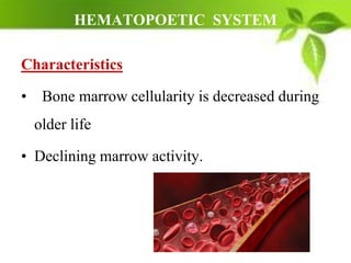 HEMATOPOETIC SYSTEM
Characteristics
• Bone marrow cellularity is decreased during
older life
• Declining marrow activity.
 