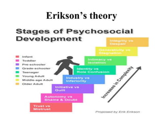 Erikson’s theory
 