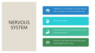 NERVOUS
SYSTEM
Gradual loss in the number of neurons with age
and no change in the neurotransmitter levels.
Brain tissue atrophy
Decreased muscle tone, motor speed and nerve
conduction velocity.
Decrease in gait speed, decreased step length,
stride length and arm swing.
 