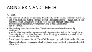 AGING SKIN AND TEETH
A. Skin
• The scars of a lifetime are revealed dramatically on the skin as wrinkles, puffiness,
and pigmentations, but the changes are not all manifestations of degeneration. For
example, fewer Langerhans’ cells in older skin can prevent undesirable
immunological responses, whereas mottling of the skin protects
against the sun.
• The leathery look characteristic of the older sun worshipper is caused by
epidermal
growths with large melanocytes—solar lentigines— that thicken in the epidermis.
Gradually the dermis thins, enzymes dissolve collagen and elastin, and wrinkles
appear when layers of fat are lost.
• Age reduces the concavity and “pout” of the upper lip, and it flattens the philtrum.
• Thenasolabial grooves deepen, which produces a sagging look to the middle third
of the face.
 