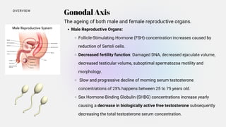 Male Reproductive Organs:
Follicle-Stimulating Hormone (FSH) concentration increases caused by
reduction of Sertoli cells.
Decreased fertility function: Damaged DNA, decreased ejaculate volume,
decreased testicular volume, suboptimal spermatozoa motility and
morphology.
Slow and progressive decline of morning serum testosterone
concentrations of 25% happens between 25 to 75 years old.
Sex Hormone-Binding Globulin (SHBG) concentrations increase yearly
causing a decrease in biologically active free testosterone subsequently
decreasing the total testosterone serum concentration.
Gonodal Axis
OVERVIEW
The ageing of both male and female reproductive organs.
 