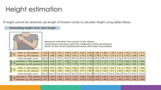 Height estimation
If height cannot be obtained, use length of forearm (ulna) to calculate height using tables below.
 