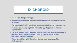 Structural Changes and Physiological Changes in the Eye Associated With ...
