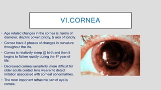 Structural Changes and Physiological Changes in the Eye Associated With ...