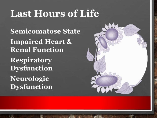 Geriatric Population. Geriatric Palliative and EndofLife