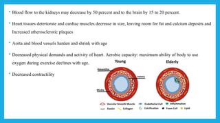 Comprehensive Overview of Geriatric Rehabilitation and Aging Theories ...