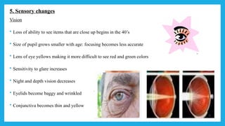 Comprehensive Overview of Geriatric Rehabilitation and Aging Theories ...