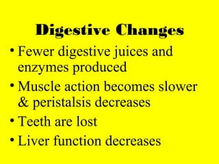 Digestive Changes
• Fewer digestive juices and
enzymes produced
• Muscle action becomes slower
& peristalsis decreases
• Teeth are lost
• Liver function decreases
 