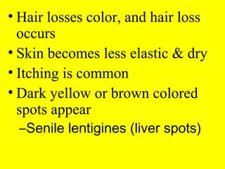• Hair losses color, and hair loss
occurs
• Skin becomes less elastic & dry
• Itching is common
• Dark yellow or brown colored
spots appear
–Senile lentigines (liver spots)
 