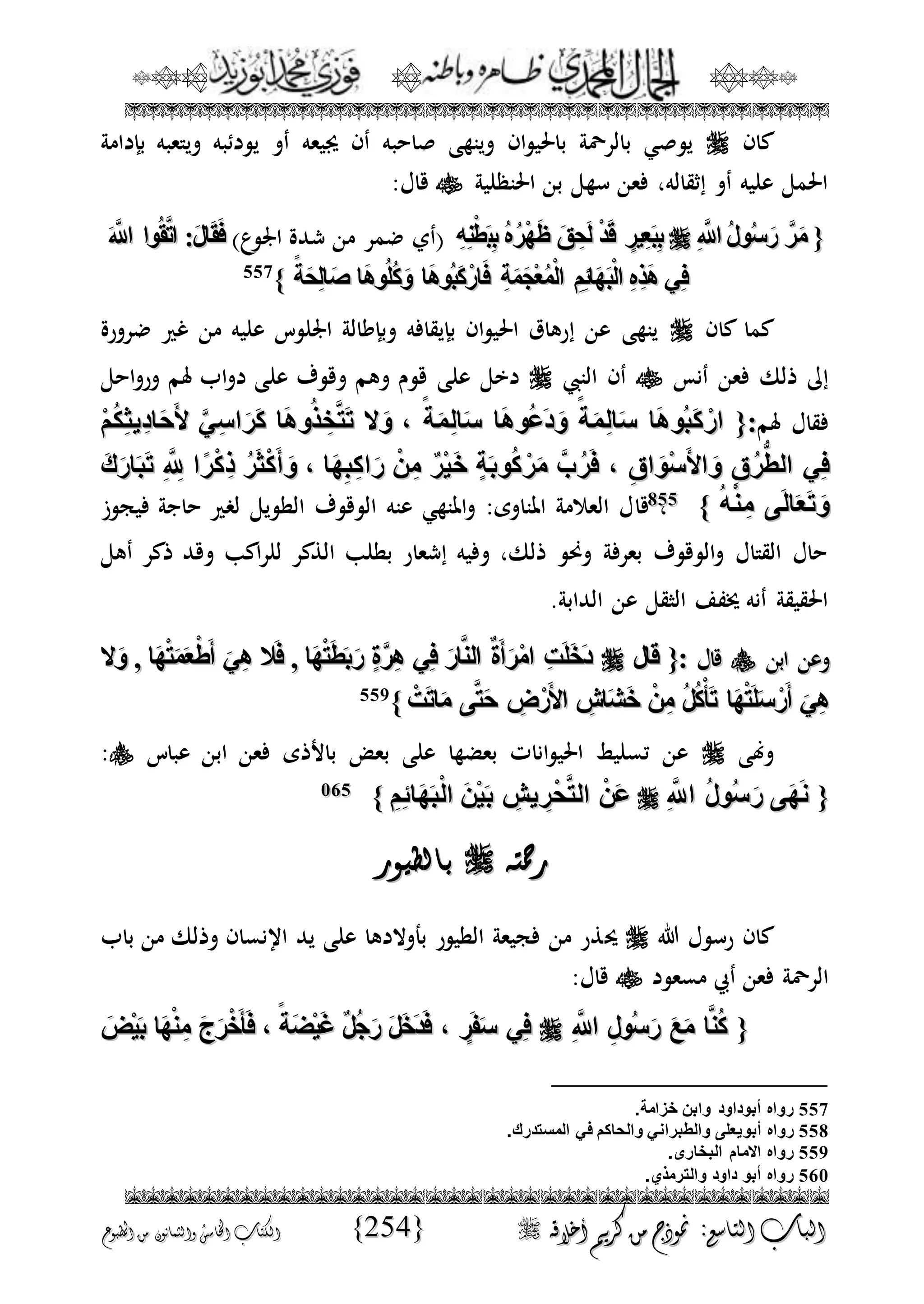 الجمال المحمدي لفضيلة الشيخ / فوزى محمد أبوزيد