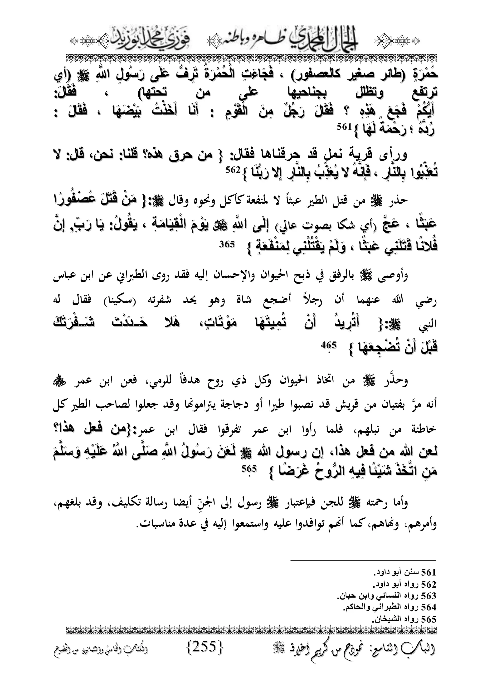 الجمال المحمدي لفضيلة الشيخ / فوزى محمد أبوزيد