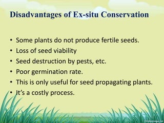 Disadvantages of Ex-situ Conservation
• Some plants do not produce fertile seeds.
• Loss of seed viability
• Seed destruction by pests, etc.
• Poor germination rate.
• This is only useful for seed propagating plants.
• It’s a costly process.
10DHIRAJ POWAR
 