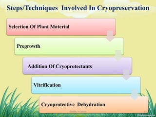 Selection Of Plant Material
Pregrowth
Addition Of Cryoprotectants
Vitrification
Cryoprotective Dehydration
Steps/Techniques Involved In Cryopreservation
13DHIRAJ POWAR
 