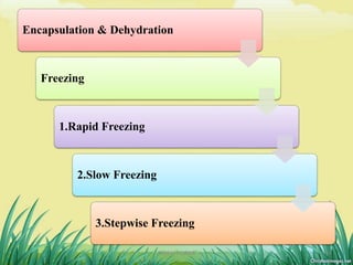 Encapsulation & Dehydration
Freezing
1.Rapid Freezing
2.Slow Freezing
3.Stepwise Freezing
14DHIRAJ POWAR
 
