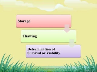 Storage
Thawing
Determination of
Survival or Viability
15DHIRAJ POWAR
 