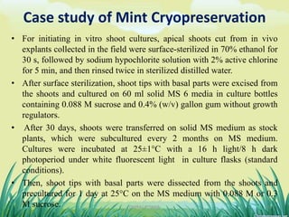 Case study of Mint Cryopreservation
• For initiating in vitro shoot cultures, apical shoots cut from in vivo
explants collected in the field were surface-sterilized in 70% ethanol for
30 s, followed by sodium hypochlorite solution with 2% active chlorine
for 5 min, and then rinsed twice in sterilized distilled water.
• After surface sterilization, shoot tips with basal parts were excised from
the shoots and cultured on 60 ml solid MS 6 media in culture bottles
containing 0.088 M sucrose and 0.4% (w/v) gallon gum without growth
regulators.
• After 30 days, shoots were transferred on solid MS medium as stock
plants, which were subcultured every 2 months on MS medium.
Cultures were incubated at 25±1°C with a 16 h light/8 h dark
photoperiod under white fluorescent light in culture flasks (standard
conditions).
• Then, shoot tips with basal parts were dissected from the shoots and
precultured for 1 day at 25°C on the MS medium with 0.088 M or 0.3
M sucrose. 21DHIRAJ POWAR
 