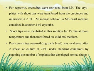 • For regrowth, cryotubes were retrieved from LN. The cryo-
plates with shoot tips were transferred from the cryotubes and
immersed in 2 ml 1 M sucrose solution in MS basal medium
contained in another 2 ml cryotube.
• Shoot tips were incubated in this solution for 15 min at room
temperature and then transferred on solid MS medium.
• Post-rewarming regrowth(regrowth level) was evaluated after
2 weeks of culture at 25°C under standard conditions by
counting the number of explants that developed normal shoots
23DHIRAJ POWAR
 