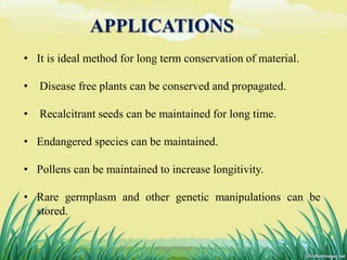 APPLICATIONS
• It is ideal method for long term conservation of material.
• Disease free plants can be conserved and propagated.
• Recalcitrant seeds can be maintained for long time.
• Endangered species can be maintained.
• Pollens can be maintained to increase longitivity.
• Rare germplasm and other genetic manipulations can be
stored.
27DHIRAJ POWAR
 