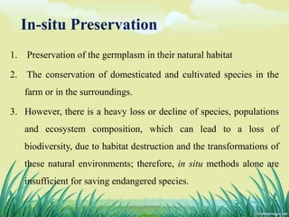In-situ Preservation
1. Preservation of the germplasm in their natural habitat
2. The conservation of domesticated and cultivated species in the
farm or in the surroundings.
3. However, there is a heavy loss or decline of species, populations
and ecosystem composition, which can lead to a loss of
biodiversity, due to habitat destruction and the transformations of
these natural environments; therefore, in situ methods alone are
insufficient for saving endangered species.
7DHIRAJ POWAR
 