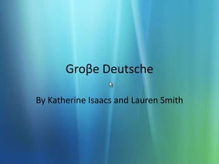 Groβe Deutsche By Katherine Isaacs and Lauren Smith 