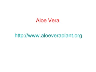 Aloe Vera
http://www.aloeveraplant.org
 