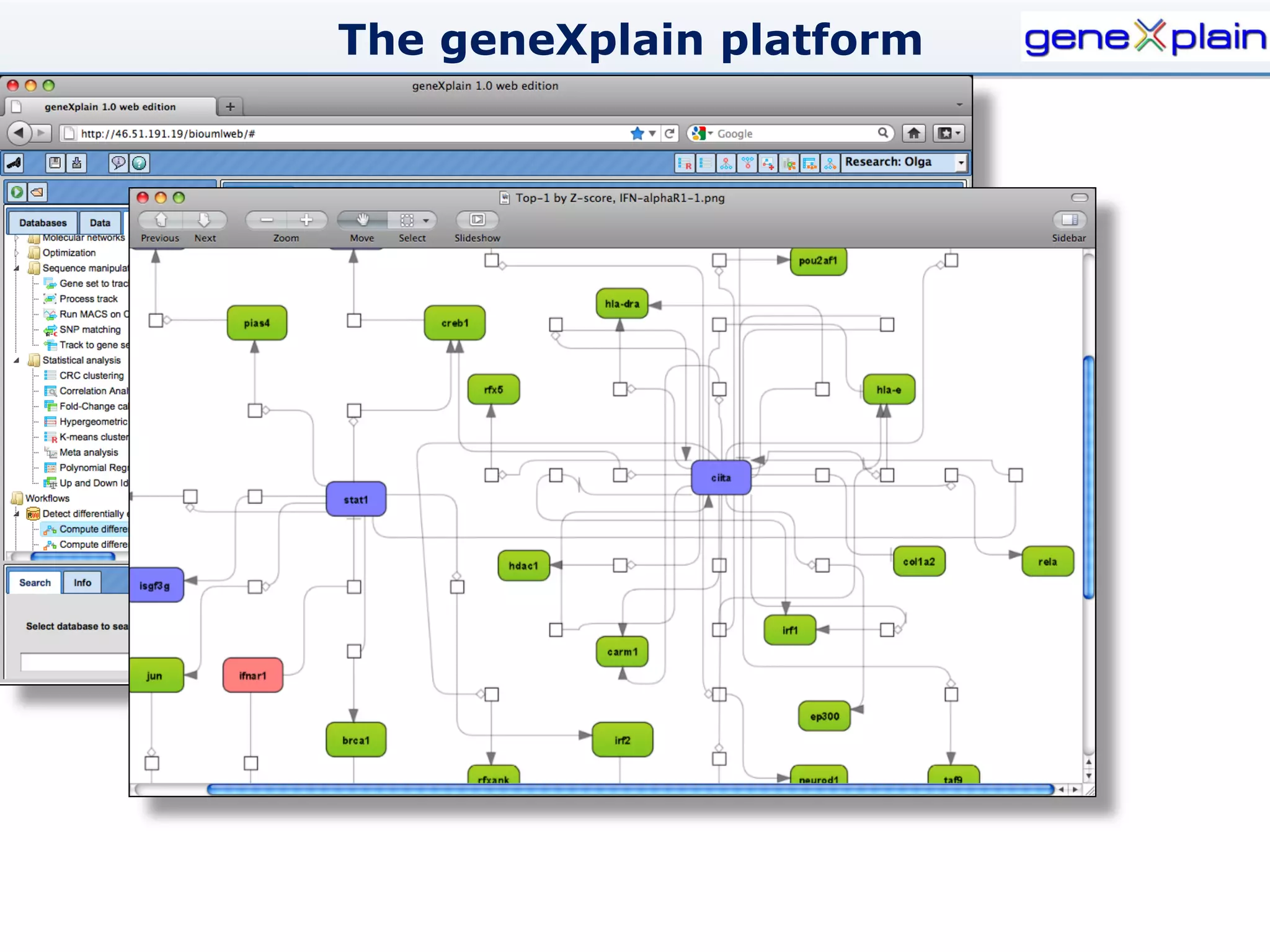 The geneXplain platform
 