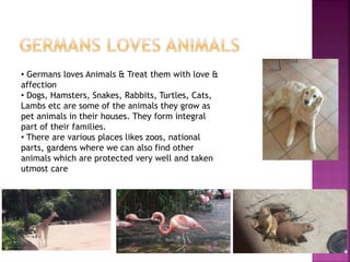 German culture & people | PPT