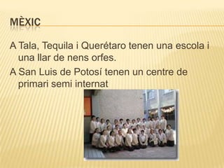 MÈXIC

A Tala, Tequila i Querétaro tenen una escola i
  una llar de nens orfes.
A San Luis de Potosí tenen un centre de
  primari semi internat
 