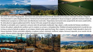 Din punct de vedere fitogeografic, Germania este partajată între provinciile Atlanticului European și Europei Centrale a Regiunii
Circumboreale în cadrul Regatului Boreal. Teritoriul Germaniei poate fi subdivizat în două ecoregiuni: pădurile montane mixte ale
Mediteranei europene și reciful marin ale Atlanticului nord-estic. Majoritatea Germaniei este acoperită fie din teren arabil (33%),
fie silvicultură și regiune păduroasă (31%). Numai 15% este acoperit de pășuni constante.
Plantele și animalele sunt, în general, comune celor din perioada medievală. Fagi, stejari, și alte esențe de foioase constituie o
treime din păduri; pădurile de conifere sunt în creștere ca urmare a reîmpăduririlor. Molidul și bradul predomină în munții de sus,
în timp ce pinul și laricele se găsesc în sol nisipos. Există multe specii de ferigi, flori, ciuperci, și mușchi. Peștii abundă în râuri și în
Marea Nordului. Printre animalele sălbatice, se găsesc cerbul, mistrețul, muflonul, vulpea, bursucul, iepurele, și un număr mic de
castori. Diverse păsări migratoare străbat Germania primăvara și toamna.
 