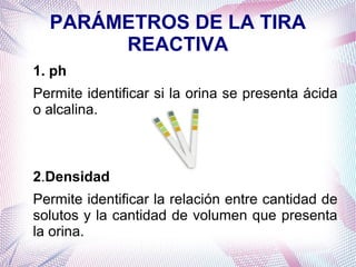 PARÁMETROS DE LA TIRA
REACTIVA
1. ph
Permite identificar si la orina se presenta ácida
o alcalina.

2.Densidad
Permite identificar la relación entre cantidad de
solutos y la cantidad de volumen que presenta
la orina.

 