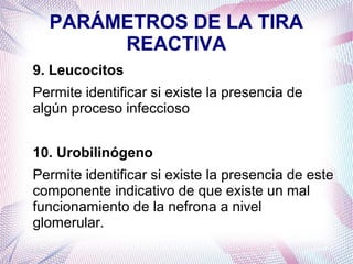 PARÁMETROS DE LA TIRA
REACTIVA
9. Leucocitos
Permite identificar si existe la presencia de
algún proceso infeccioso
10. Urobilinógeno
Permite identificar si existe la presencia de este
componente indicativo de que existe un mal
funcionamiento de la nefrona a nivel
glomerular.

 