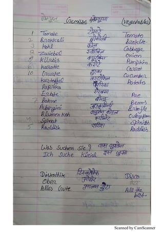 German Language Notes.pdf