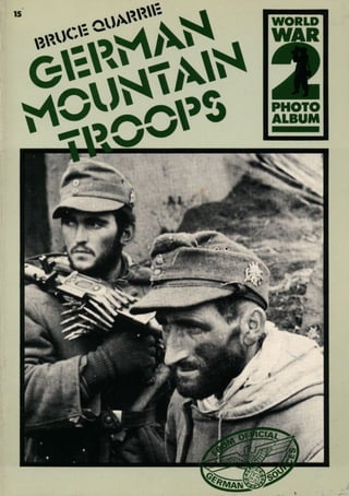 German mountain troops wwii photoalbum
