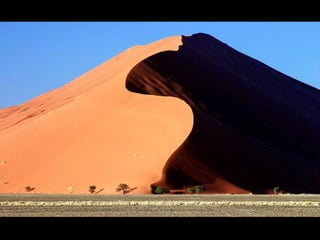 German salon photography ____1 (1)