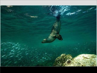 German salon photography ____1 (1)