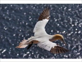 German salon photography ____1 (1)