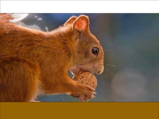 German salon photography ____1 (1)