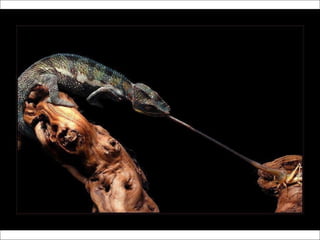 German salon photography ____1 (1)