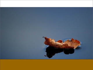 German salon photography ____1 (1)